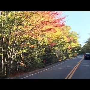 Meet your Posher, Stacy